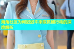 海角社区为何迟迟不采取抓捕行动的深度解析