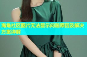 海角社区图片无法显示问题原因及解决方案详解
