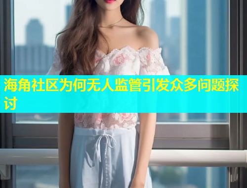 海角社区为何无人监管引发众多问题探讨  第1张