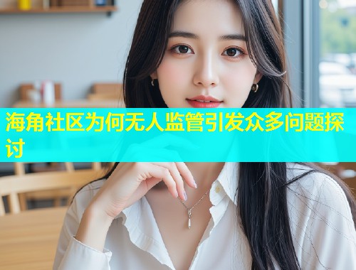 海角社区为何无人监管引发众多问题探讨  第2张