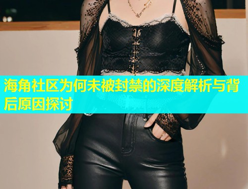 海角社区为何未被封禁的深度解析与背后原因探讨  第1张