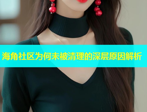 海角社区为何未被清理的深层原因解析  第1张