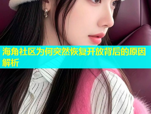 海角社区为何突然恢复开放背后的原因解析  第1张