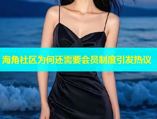海角社区为何还需要会员制度引发热议  第2张