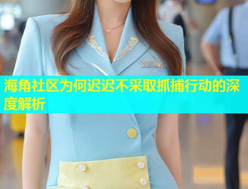 海角社区为何迟迟不采取抓捕行动的深度解析  第1张