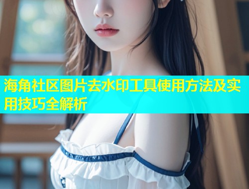 海角社区图片去水印工具使用方法及实用技巧全解析  第1张